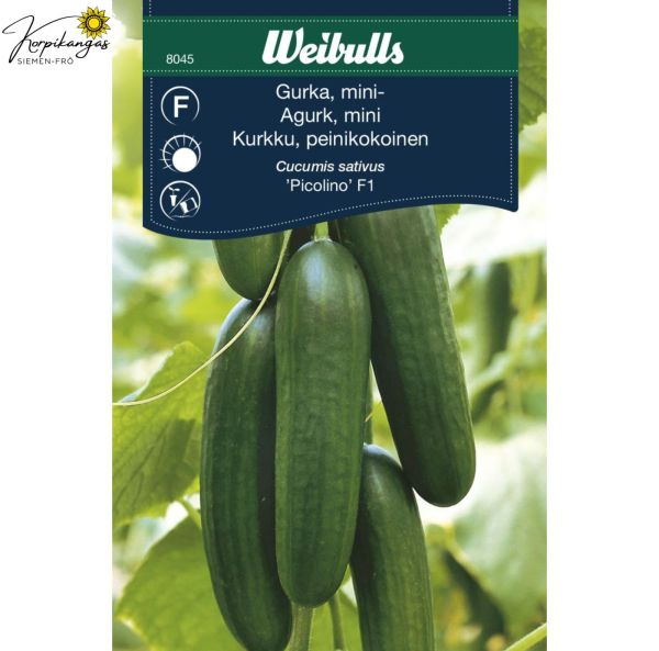 Ikkunakurkku, Kasvihuonekurkku